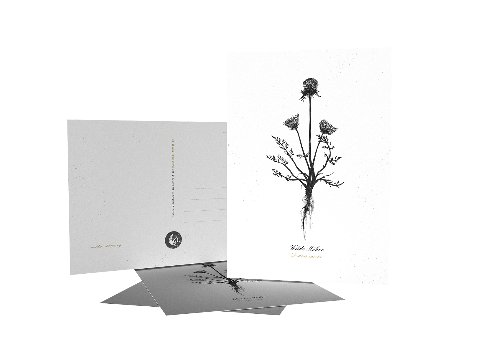 Herbal Hunter Kräuterpostkarten